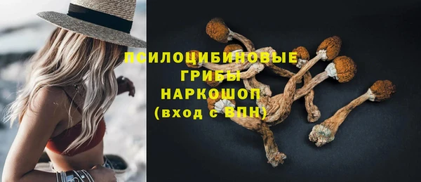 ГАЛЛЮЦИНОГЕННЫЕ ГРИБЫ Дмитров