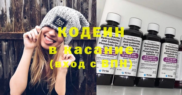 ГАЛЛЮЦИНОГЕННЫЕ ГРИБЫ Дмитриев