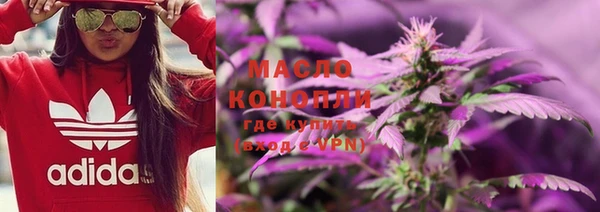 ГАЛЛЮЦИНОГЕННЫЕ ГРИБЫ Дмитриев