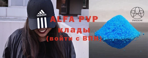 ГАЛЛЮЦИНОГЕННЫЕ ГРИБЫ Дмитриев