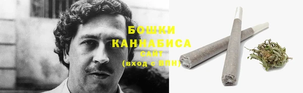 ГАЛЛЮЦИНОГЕННЫЕ ГРИБЫ Дмитров