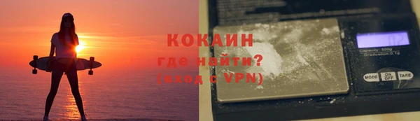 сатива Дмитровск
