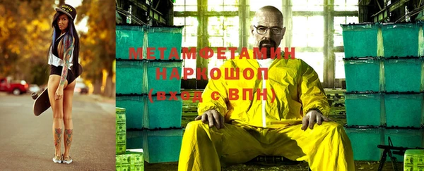 ГАЛЛЮЦИНОГЕННЫЕ ГРИБЫ Дмитриев