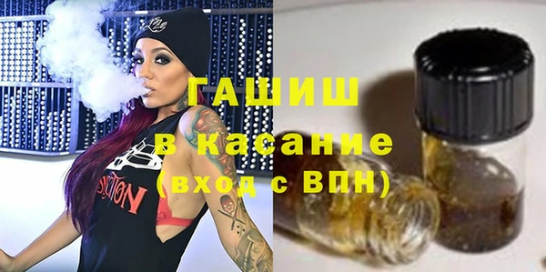 ГАЛЛЮЦИНОГЕННЫЕ ГРИБЫ Дмитриев