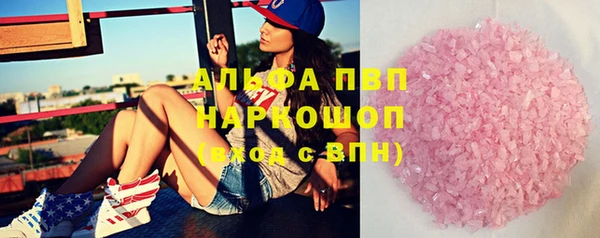 ГАЛЛЮЦИНОГЕННЫЕ ГРИБЫ Дмитриев