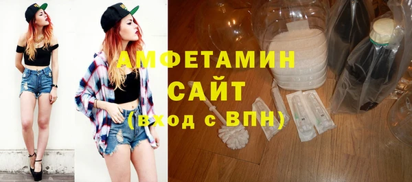 ГАЛЛЮЦИНОГЕННЫЕ ГРИБЫ Дмитриев