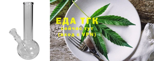 твердый Гусев
