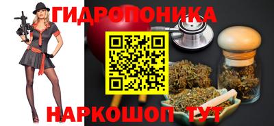 гидропоника Гусь-Хрустальный
