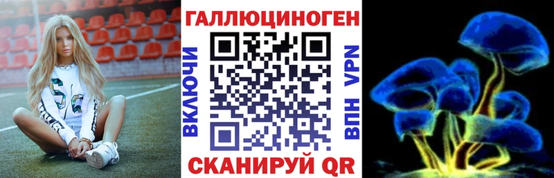 Галлюциногенные грибы мицелий  Ефремов 