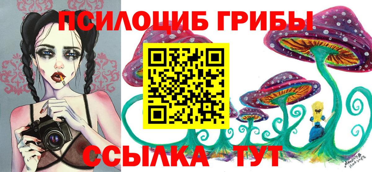 хочу   Псилоцибиновые грибы MAGIC MUSHROOMS  Вход с VPN  Ефремов 