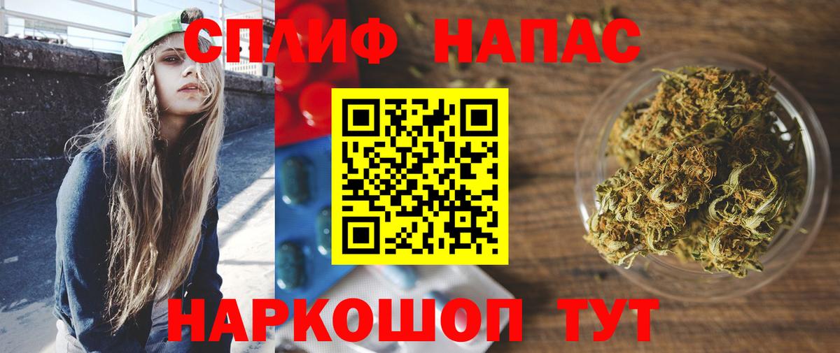 Бошки Шишки план Ефремов
